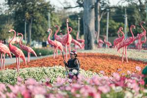 BIB: 
                            <button type="button" onclick="openModal(27344158)" class="btn btn-primary btn-sm float-right btn-popup" data-toggle="modal" data-target=".modal-high-quality">
                        <i class="fas fa-shopping-cart"></i> Add to Cart
                    </button>
                                            <button type="button" onclick="isThisMe(27344158, true)" class="btn btn-success btn-sm float-right btn-popup btn-isme hidden" data-toggle="tooltip" data-placement="bottom" title="นี่คือรูปของคุณใช่ไหม คลิกที่นี่เพื่อเอาเข้าอัลบั้ม">
                        <i class="fas fa-plus"></i> Add to album
                    </button>
                    <button type="button" onclick="isThisMe(27344158, false)" class="btn btn-warning btn-sm float-right btn-popup btn-isnotme hidden">
                        <i class="fas fa-ban"></i> Remove from album
                    </button>